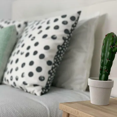 Cosy Flats Luceros * Alicante